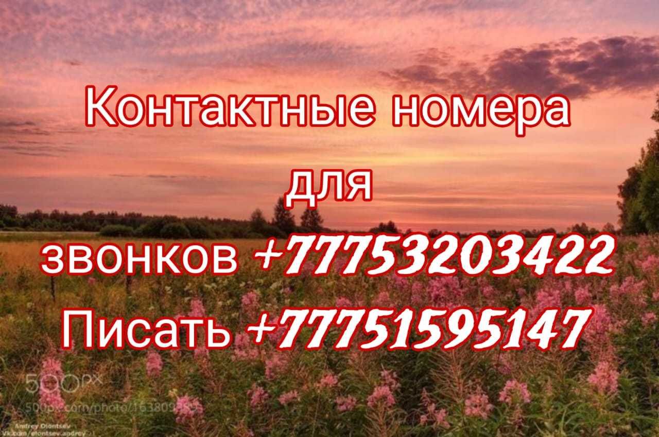 Однокомнатная в аренду рн Жигули