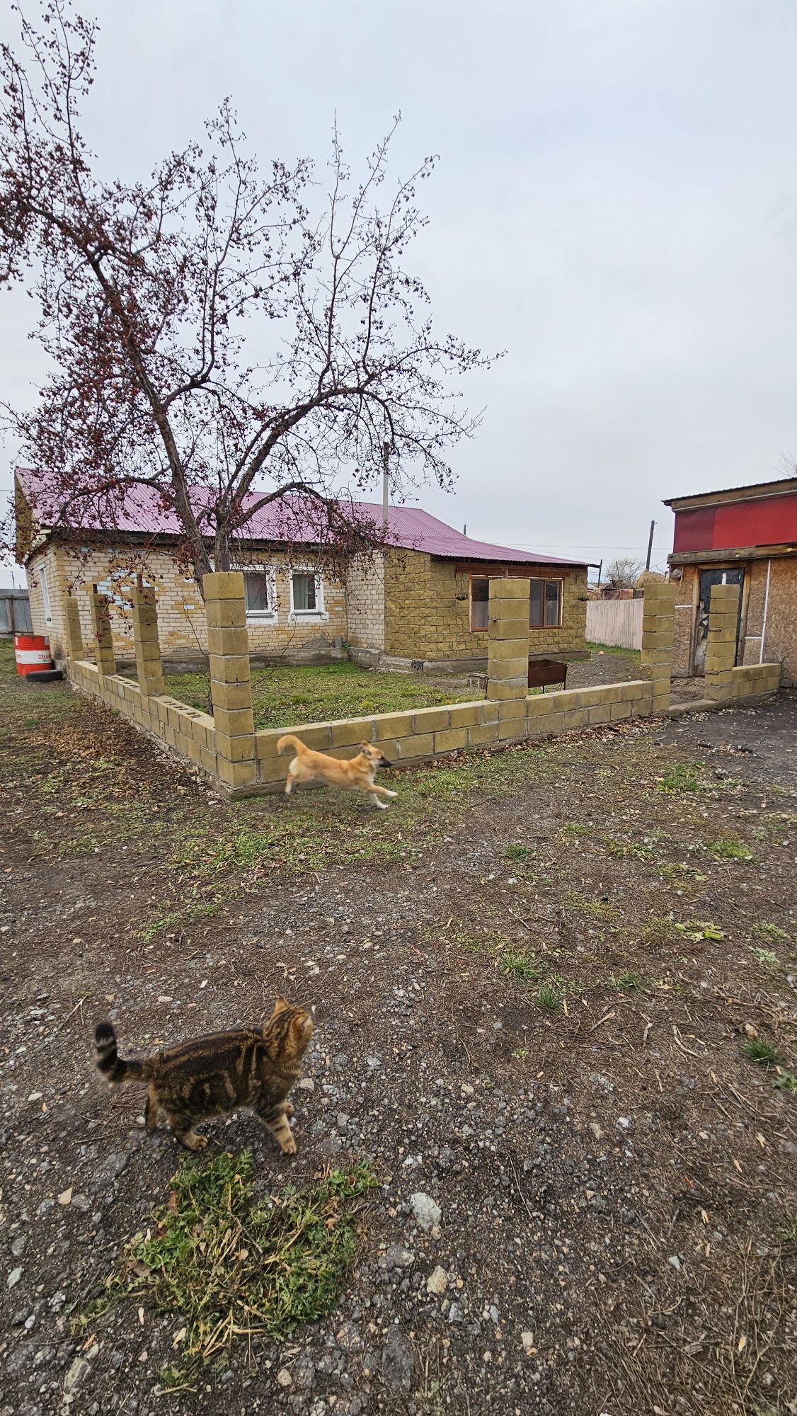 Продам дом с большим участком в Прибрежном