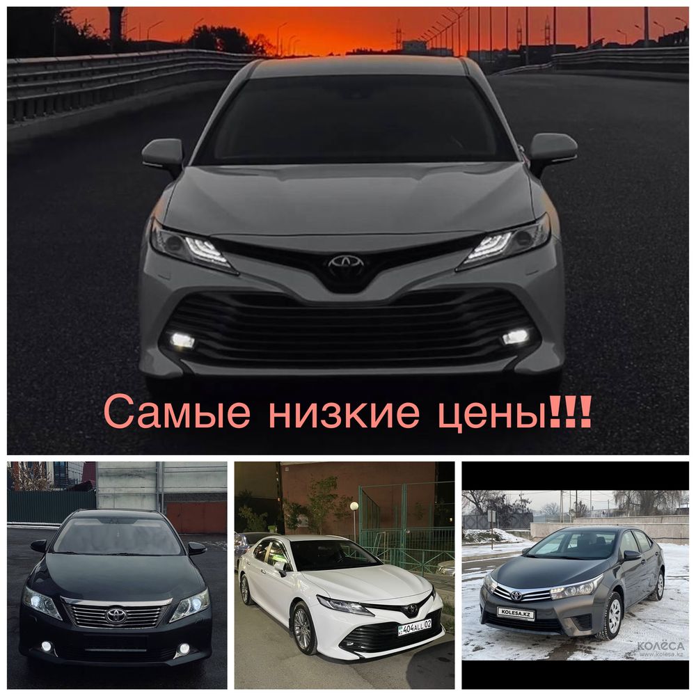 Прокат авто. Прокат машин. Прокат авто в Алматы. Автопарк