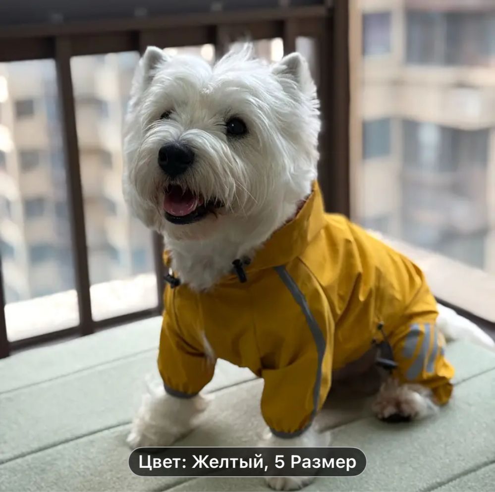 Комбез дождевик для собаки среднего размера