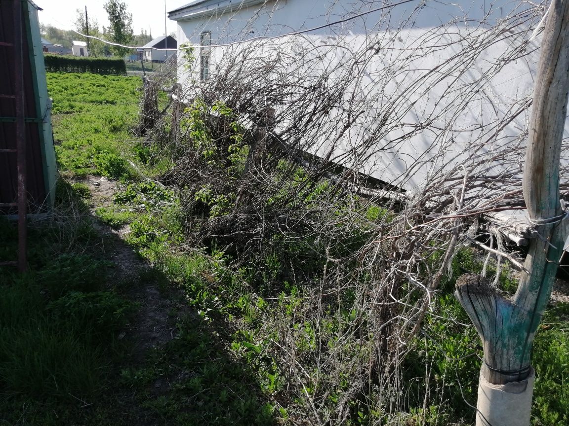 Продажа дом в Маканчи