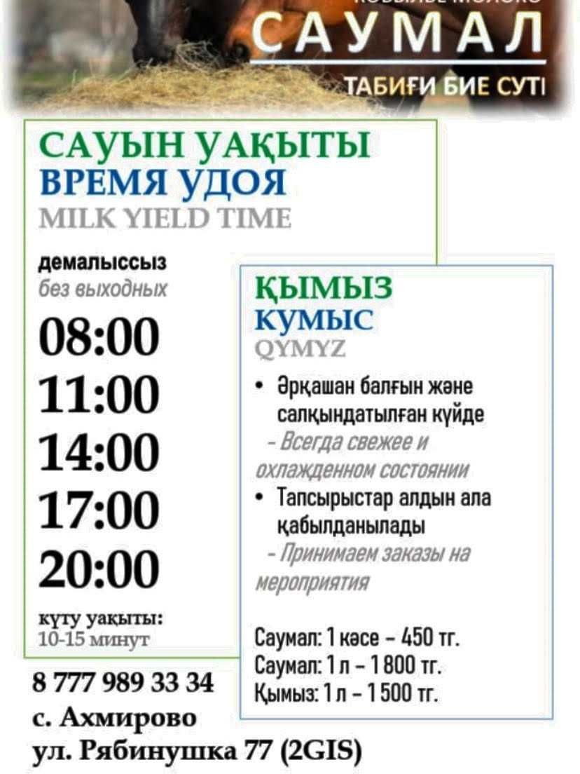 Саумал Кымыз свежее, по графику