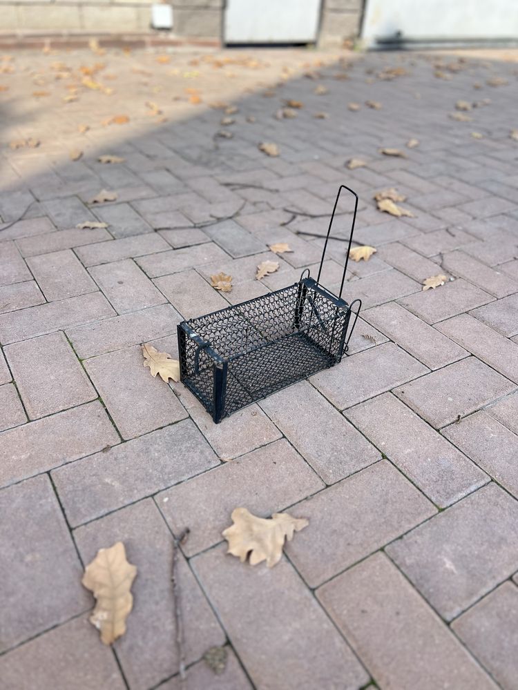 Крысыловка