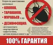 Дезинфекция от клопов кандала, тараканов, блох бурге результат 100%