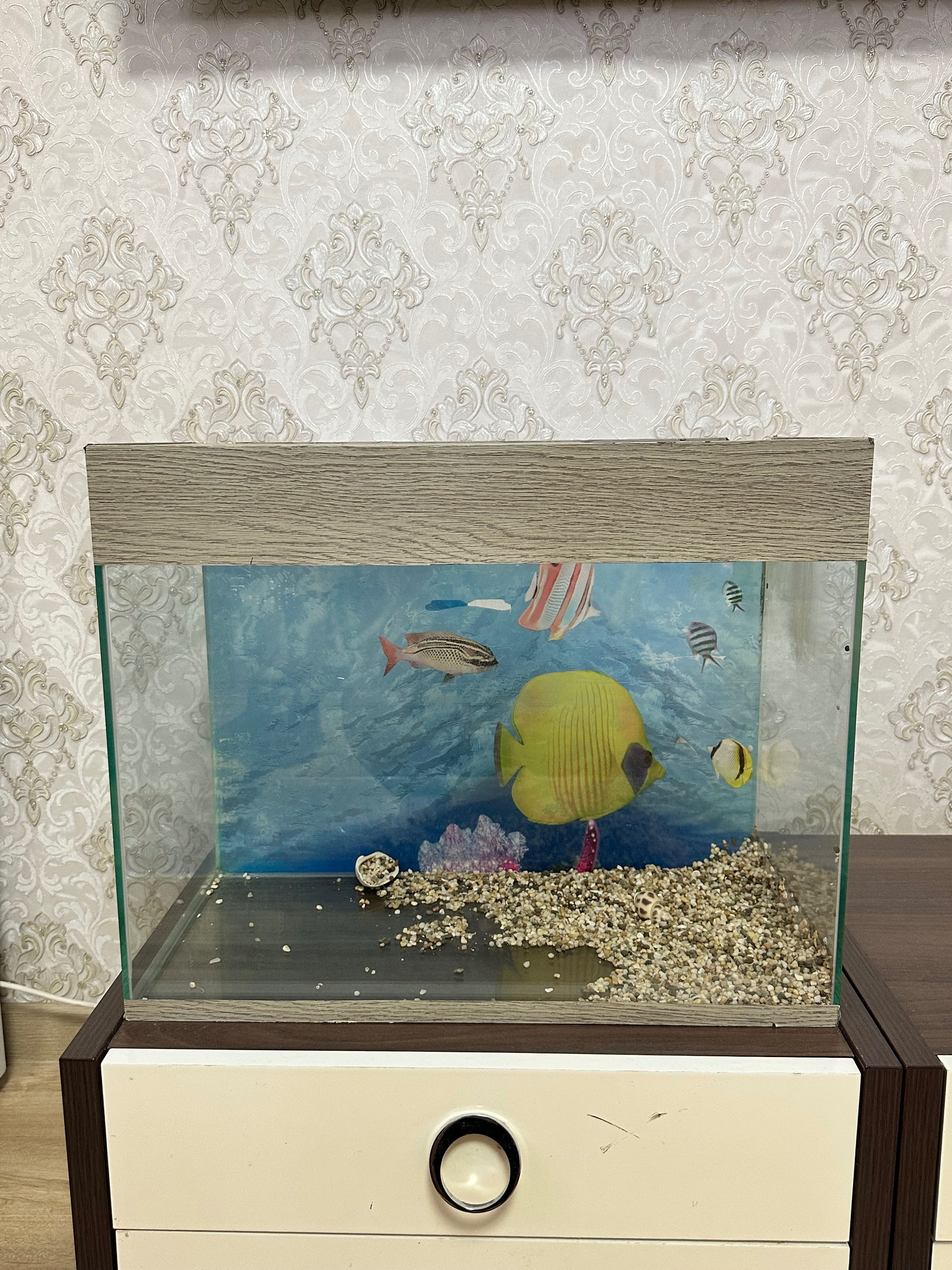 Продам аквариум для рыб