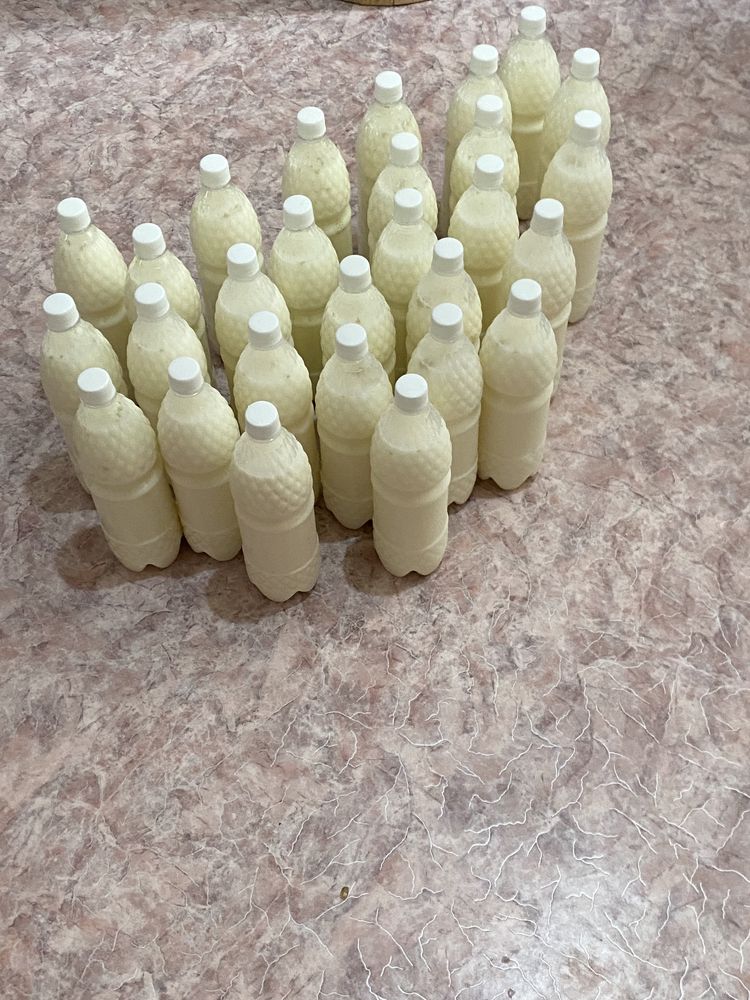 Кымыз Кумыс Сатылады
