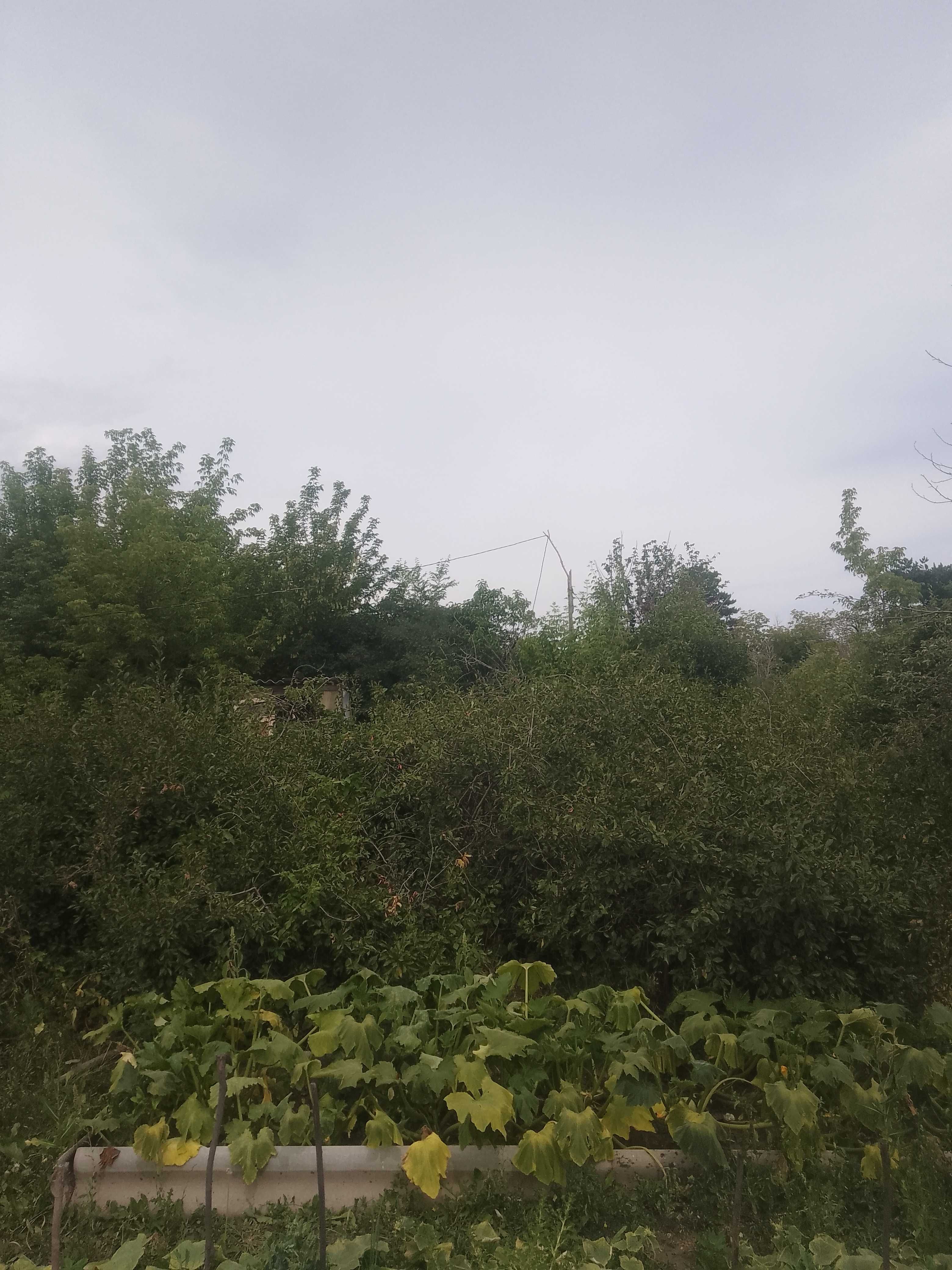 Продаём дачу на ДСК