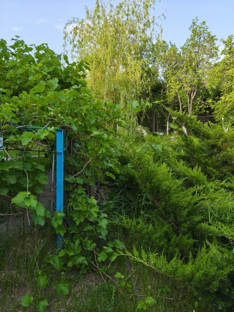 Дача на продажу в г.Есик (Иссык), вдоль БАКа