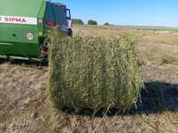 Сено в руланах