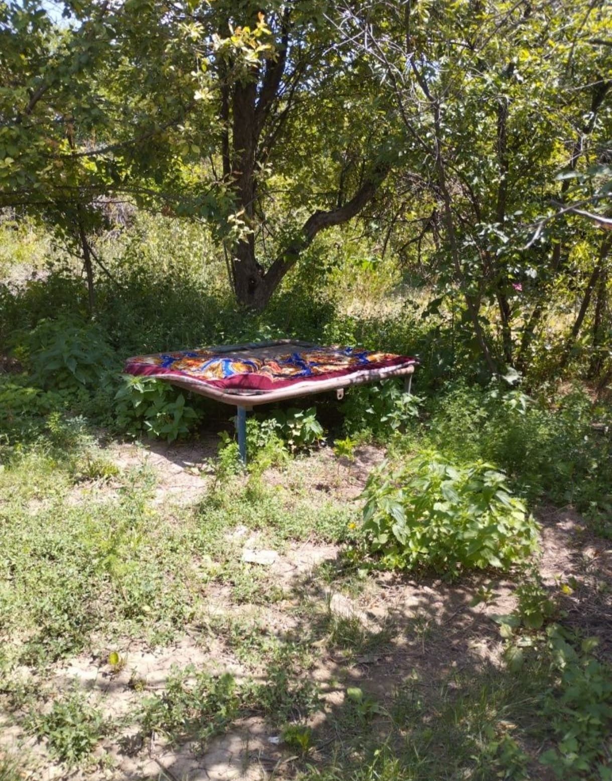 Сдам дачу с бассейном