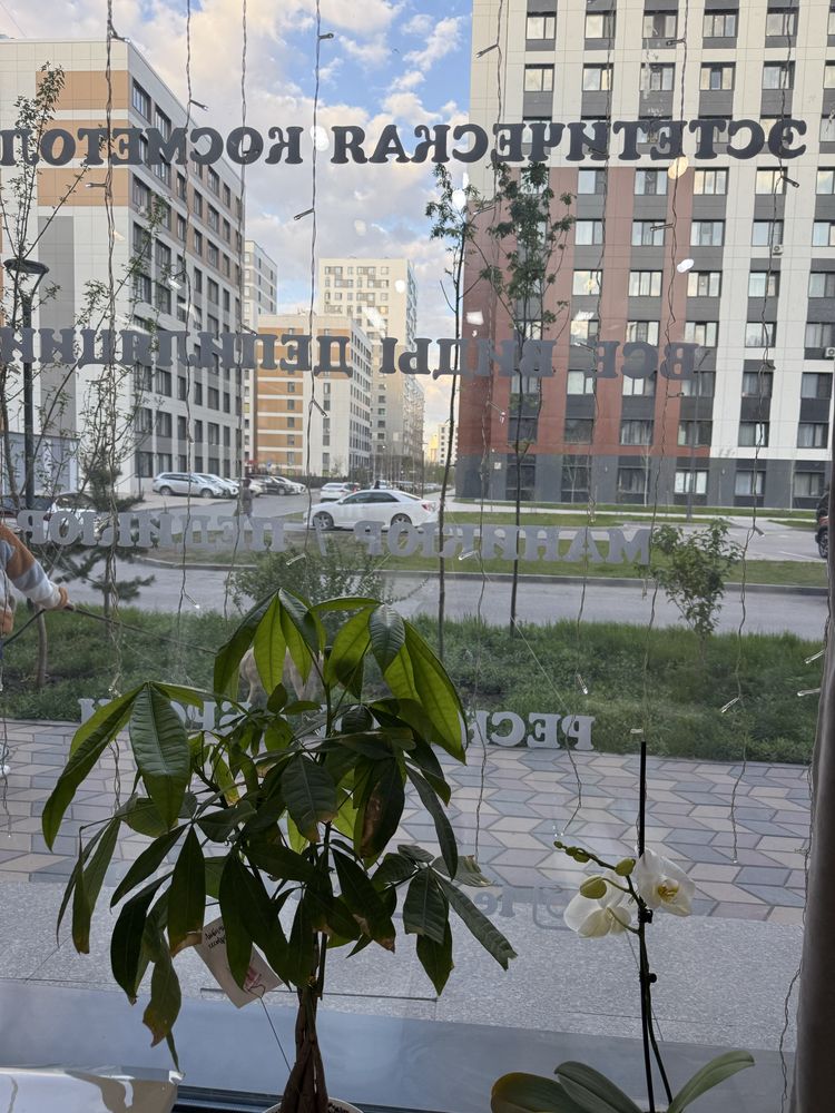 Аренда парикмахерского места