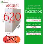 Перегородочный газоблок 10х30х60 см