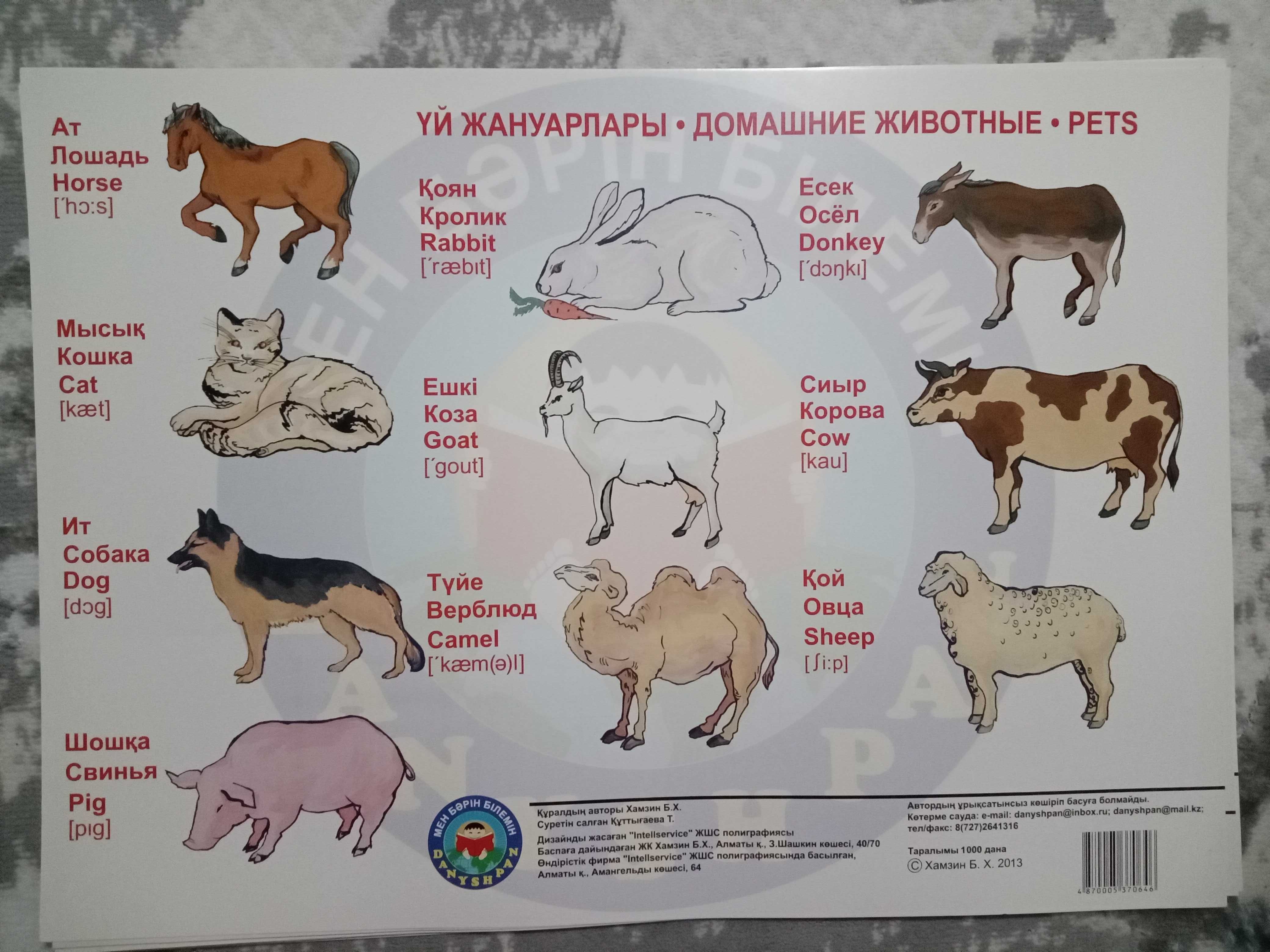 Балаларға мектепке дейінгі дидактикалық әдістеме құралдары