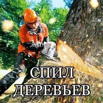 Спил дерева,кустарников и многое другое.