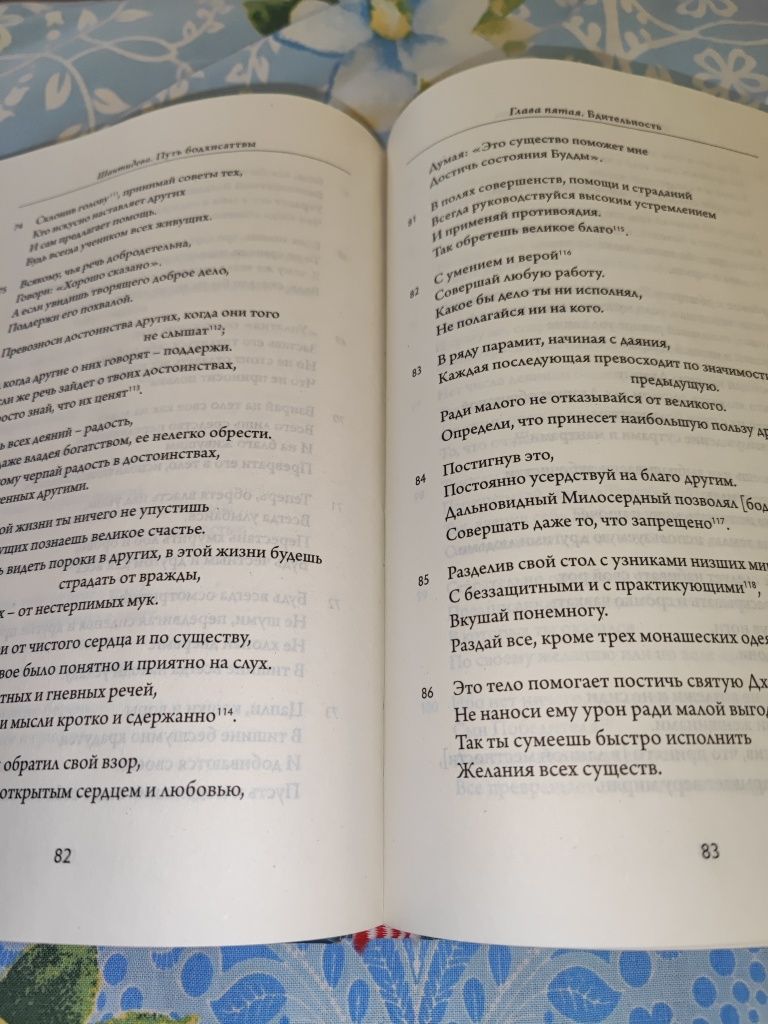 Книга путь бодхисаттва