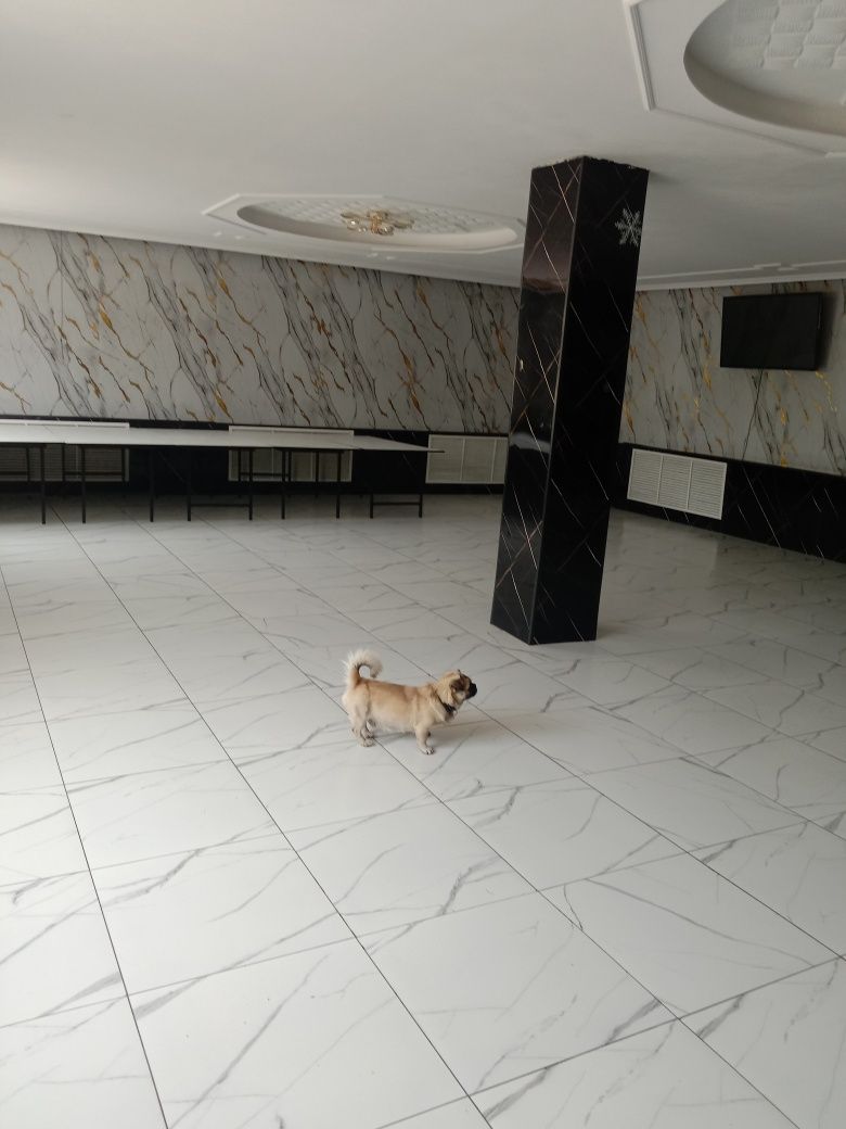 Продам отдельно стоящее здание в Абае под любой вид деятельн