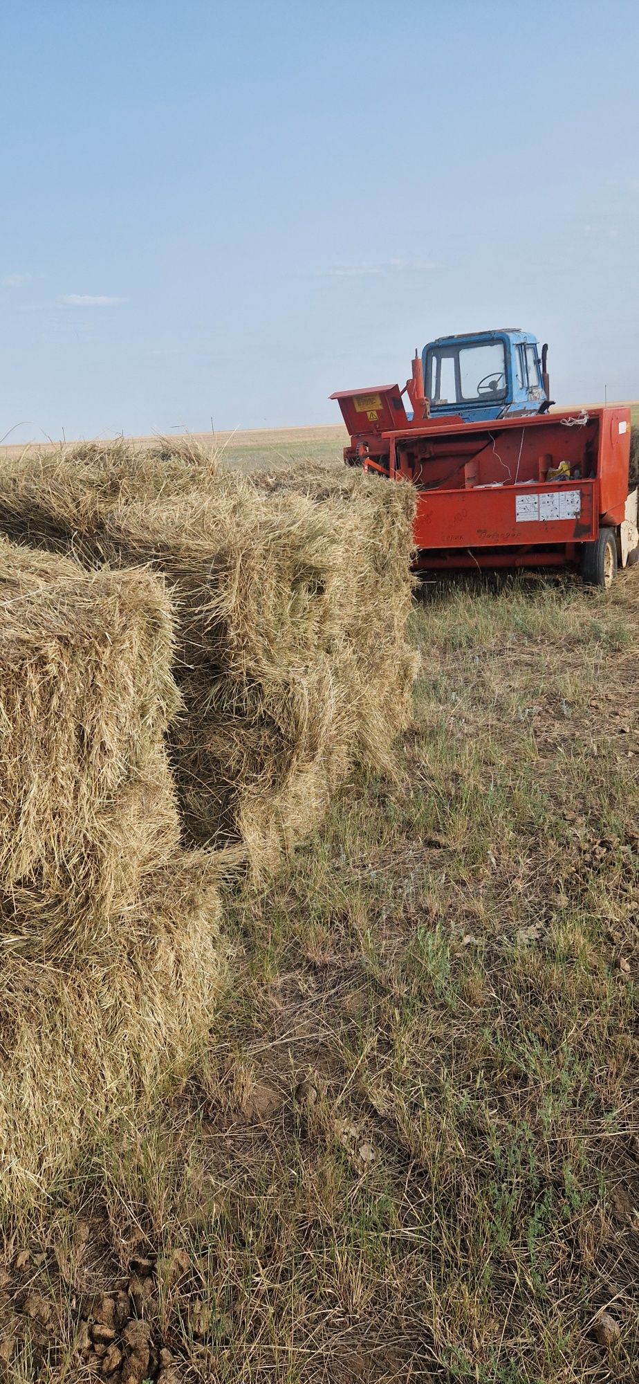 Сено тюкованное продам. Житняк
