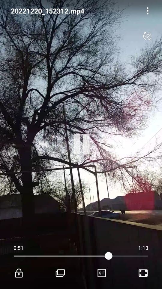 Тал кесіп алып кетесін