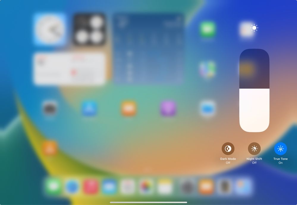 iPad Pro 11 M4 256GB