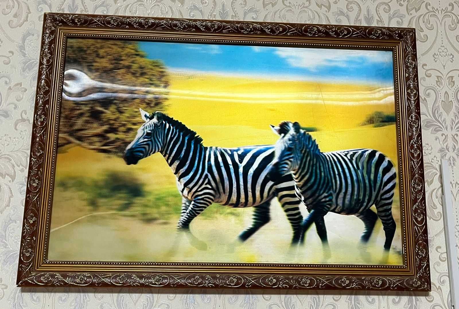 Продам картину ЗЕБРА