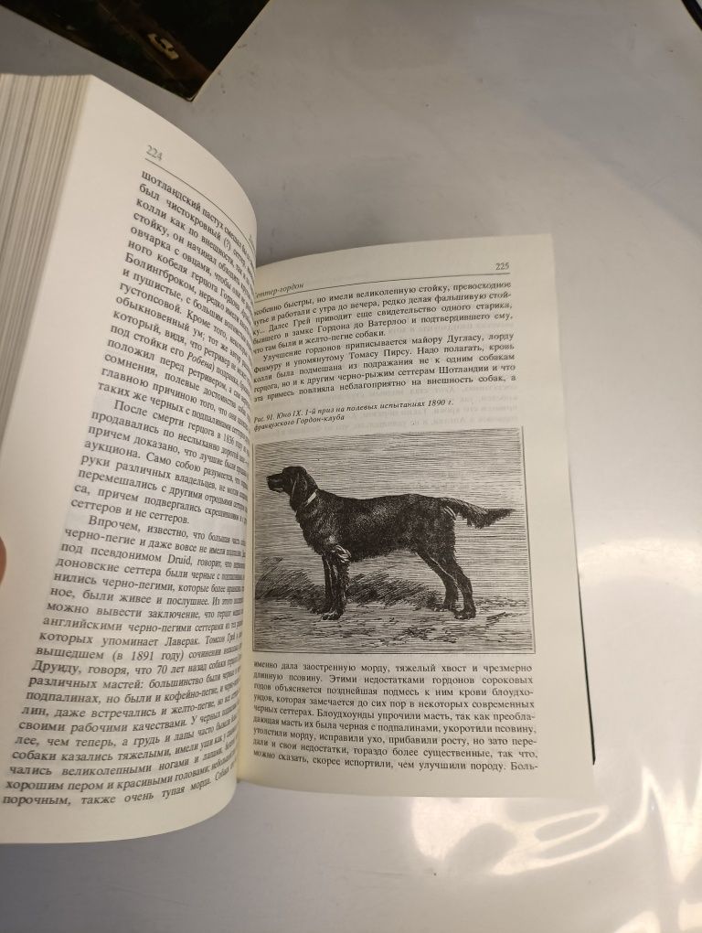 Охотничьи собаки издание СССР редкая