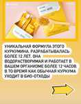 Куркумин водорастворимый