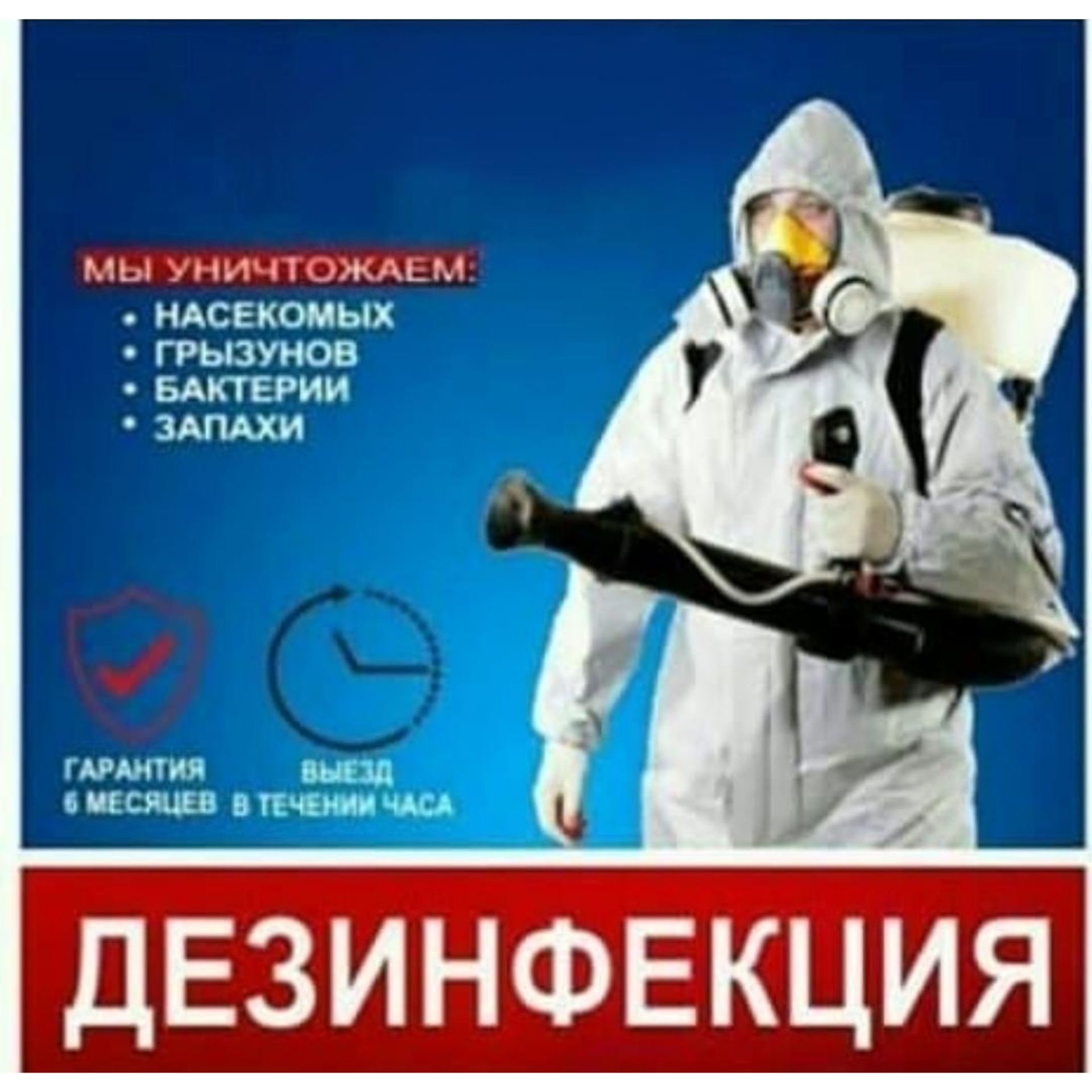 Дезинсекция от Клопов в Алматы и области. Дезинсекция от тараканов.