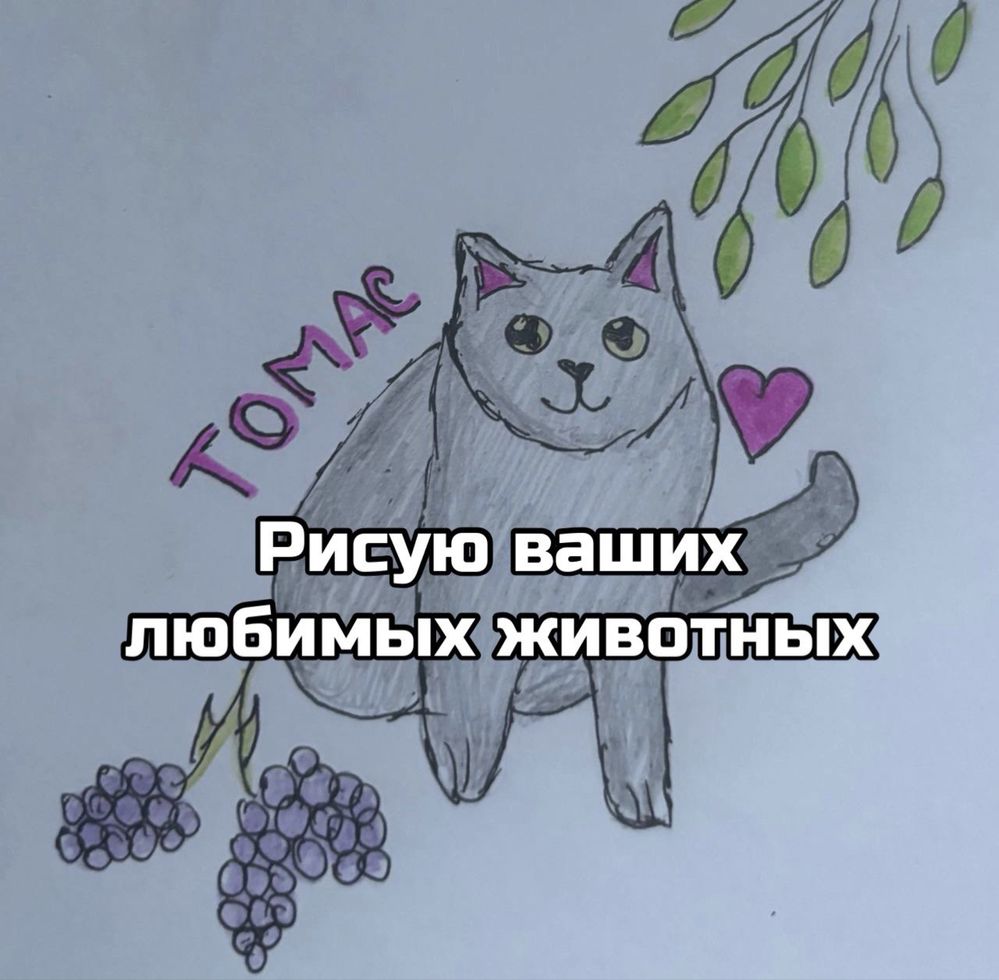Нарисую вашего питомца
