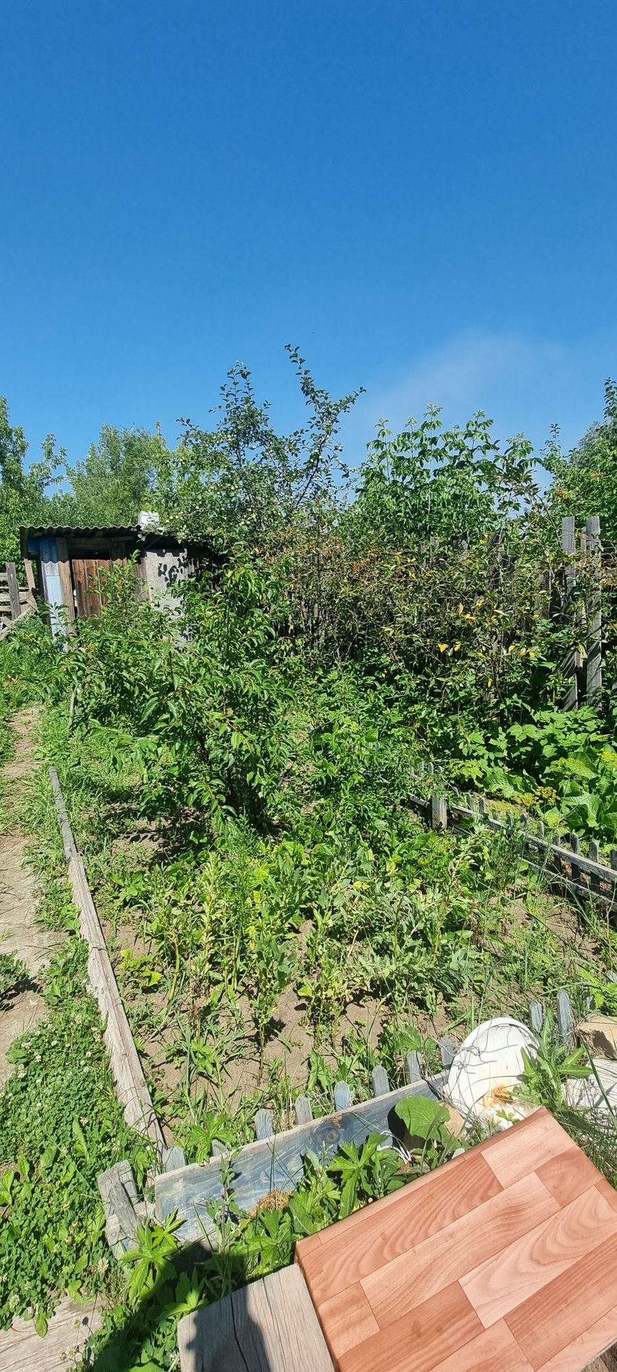 Продам дачу .Сад Здоровье.