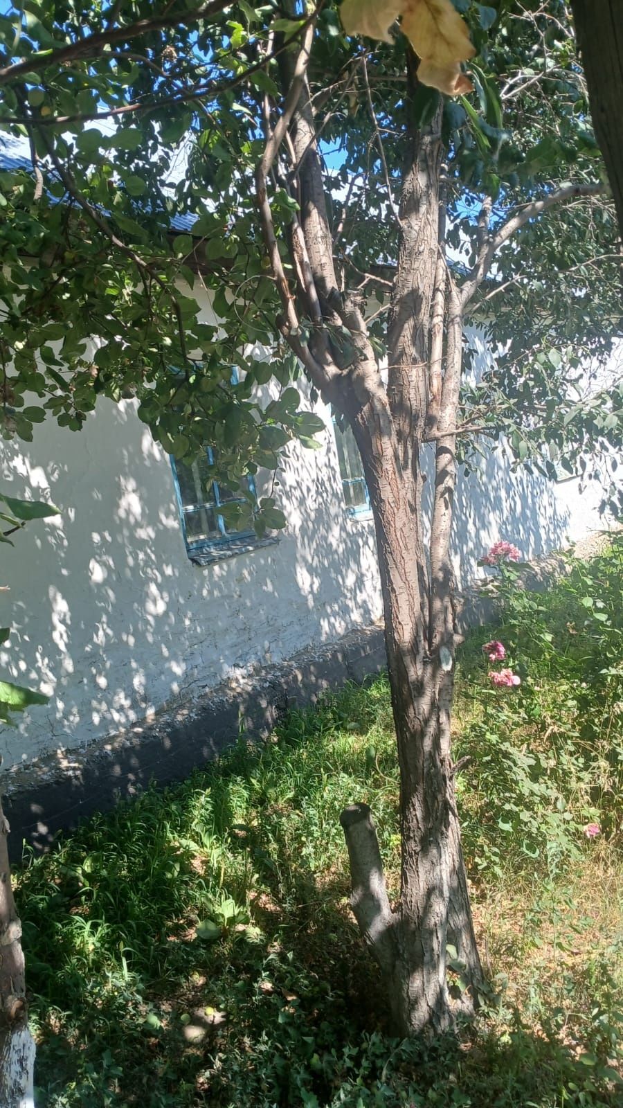 Продам дом в центре( можно под бизнес)