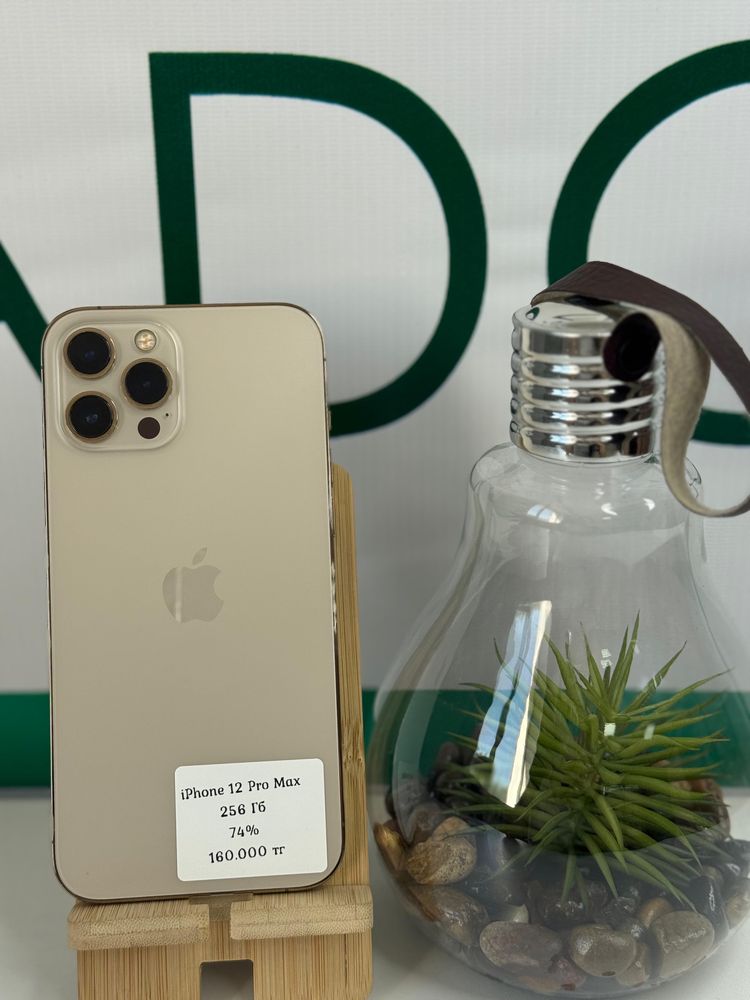 IPhone 12 Pro Max, 256ГБ, 74%