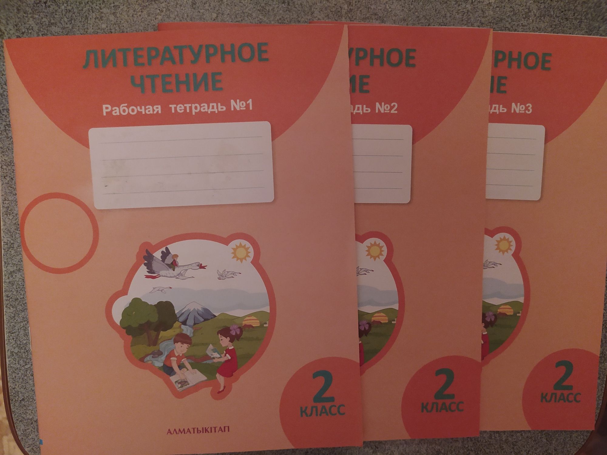 Продам рабочие тетради по литературе 2 класс