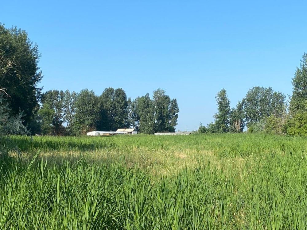 Продам фазенду 48 га ,
