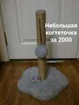Когтеточка для кошки за копейки