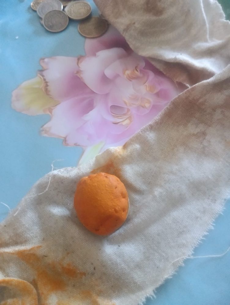 Желчный камень коровы
