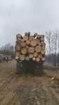 Продаём Лес кругляк сосна 6 метровые с доставкой