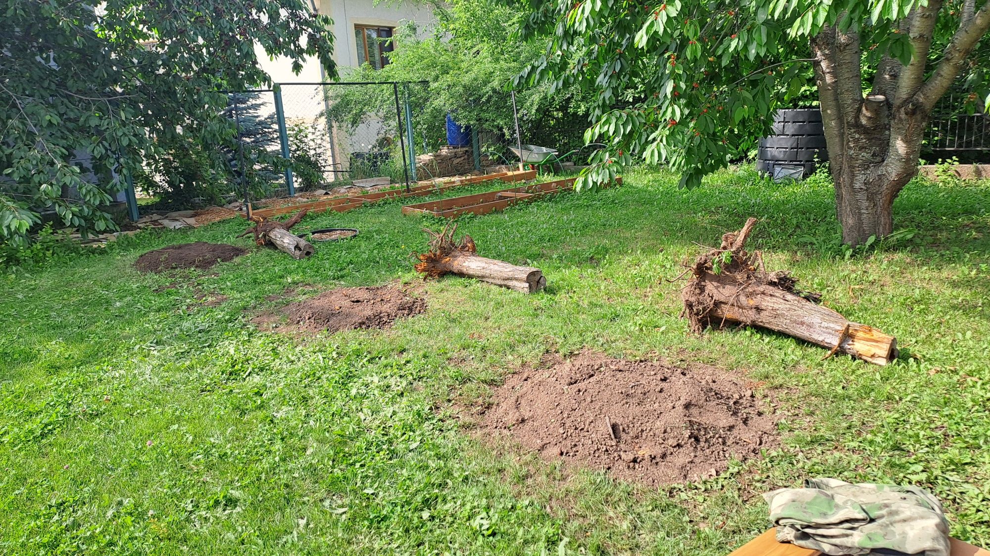 Корчевание пней. Стрижка живой изгороди, можжевельников, туй..