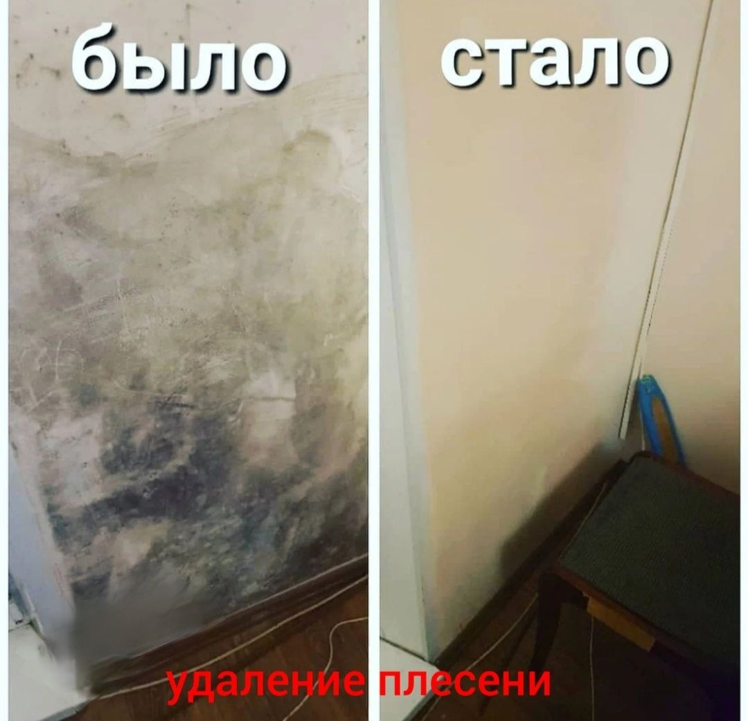 Озонирование удаление плесени запахов и ртути