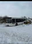 Маз 103. Городской низкополный