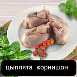 Цыплята корнишон АЛЕЛЬ
