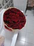 Продам букет из 51 роз