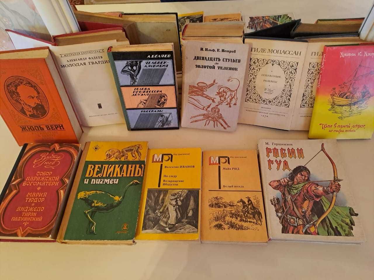Художественная  литература