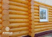Масла для обработки древесины и камня (пропитка) ЖИВИЦА царские краски