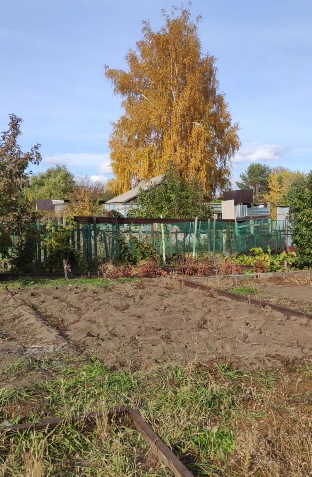 Продам Дачу Сад Здоровье