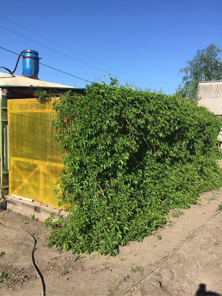 Продам дачу 131 км дачное общество Звездочка.
