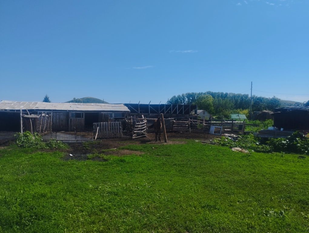 Срочно продам дом на Винном
