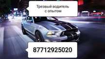 Трезвый водитель