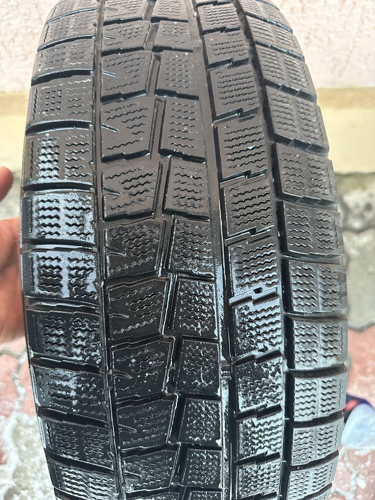 Зимние шины DUNLOP