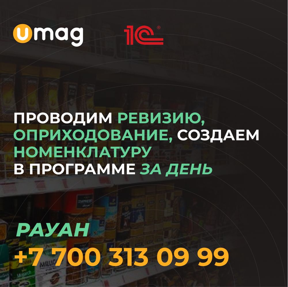 Ревизия. Учет. Бухгалтерия. Инвентаризация. ТСД. Моноблок. Программа.