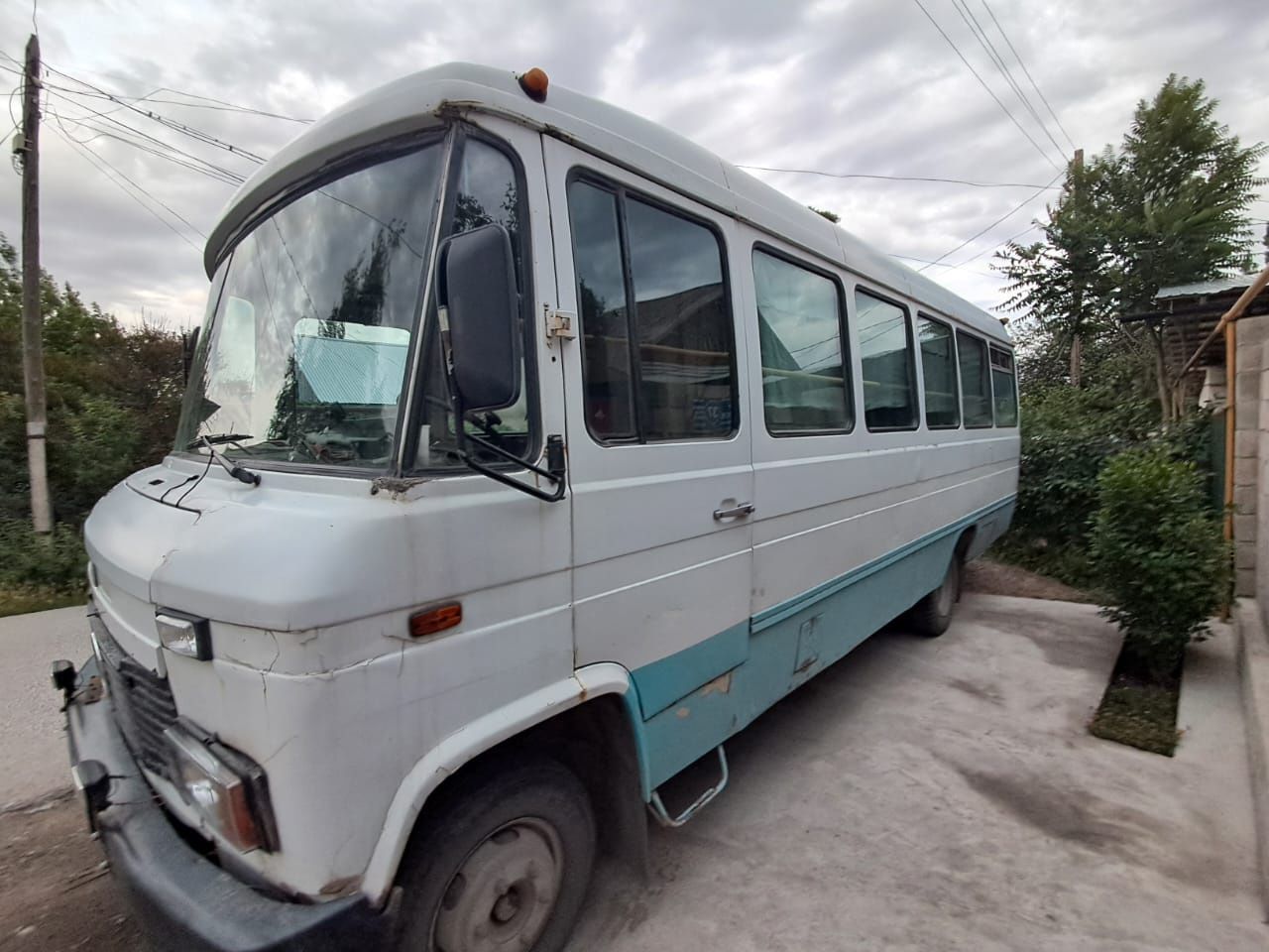 Mercedes-benz 309 D